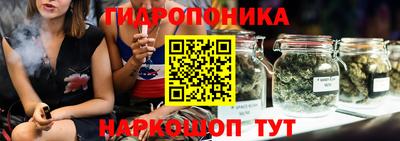 spice Краснознаменск
